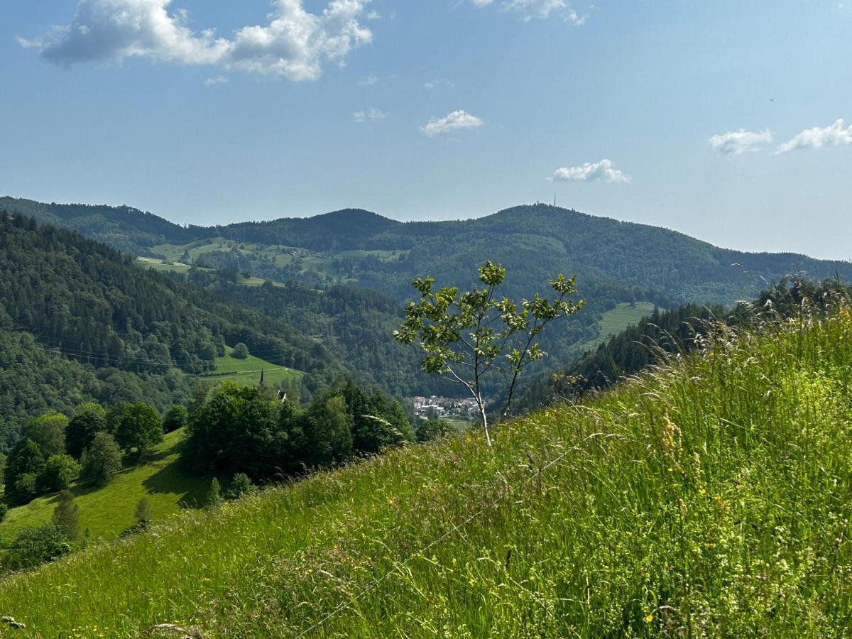 Cella Apartments **** Zell im Wiesenthal Exterior photo